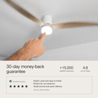 Modern Wood Grain Reverse 6-Speed Inverter Ceiling Fan Light